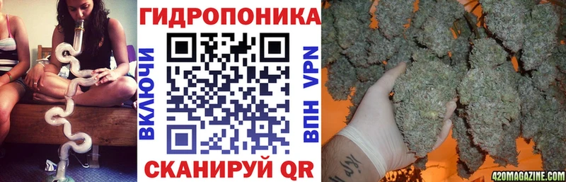 Бошки марихуана марихуана  купить  сайты  Черемхово 